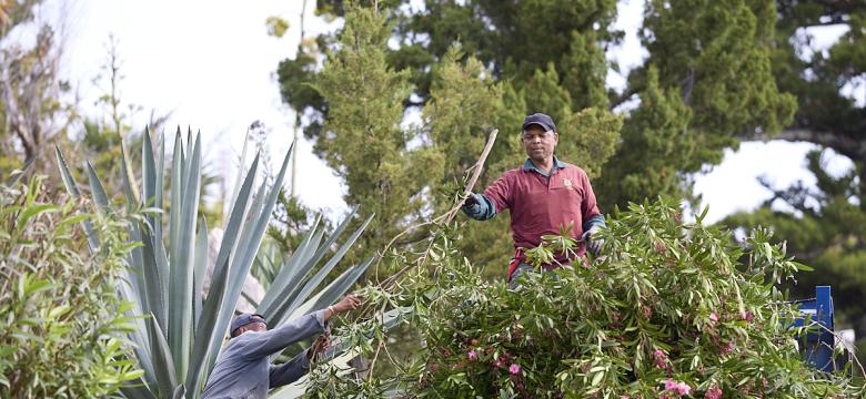 Department of Parks employees at the Botanical Gardens