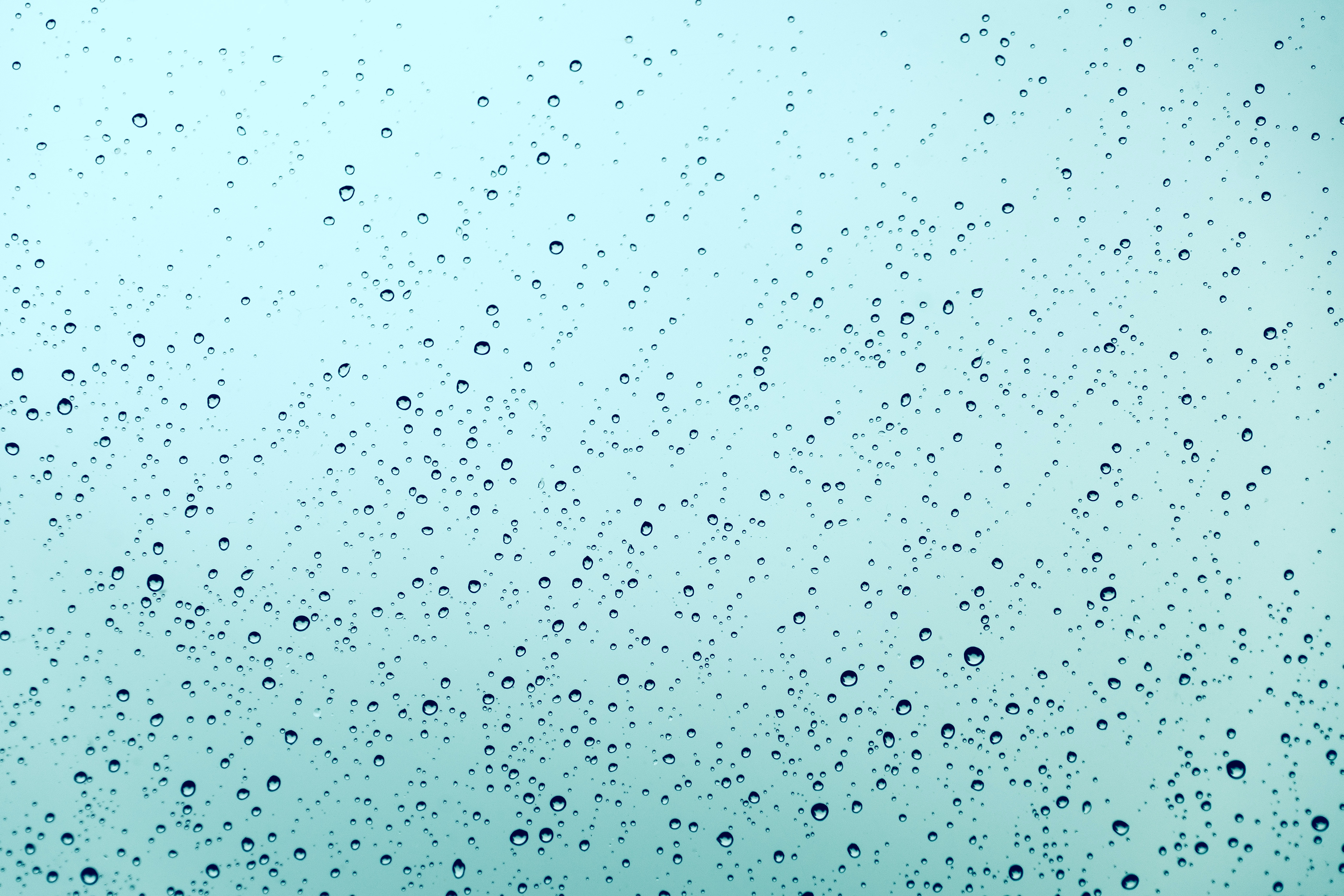 Tropical Storm Henri & Hurricane preparedness