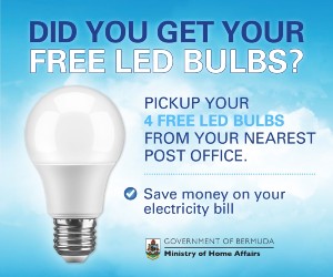 LED Bulbs