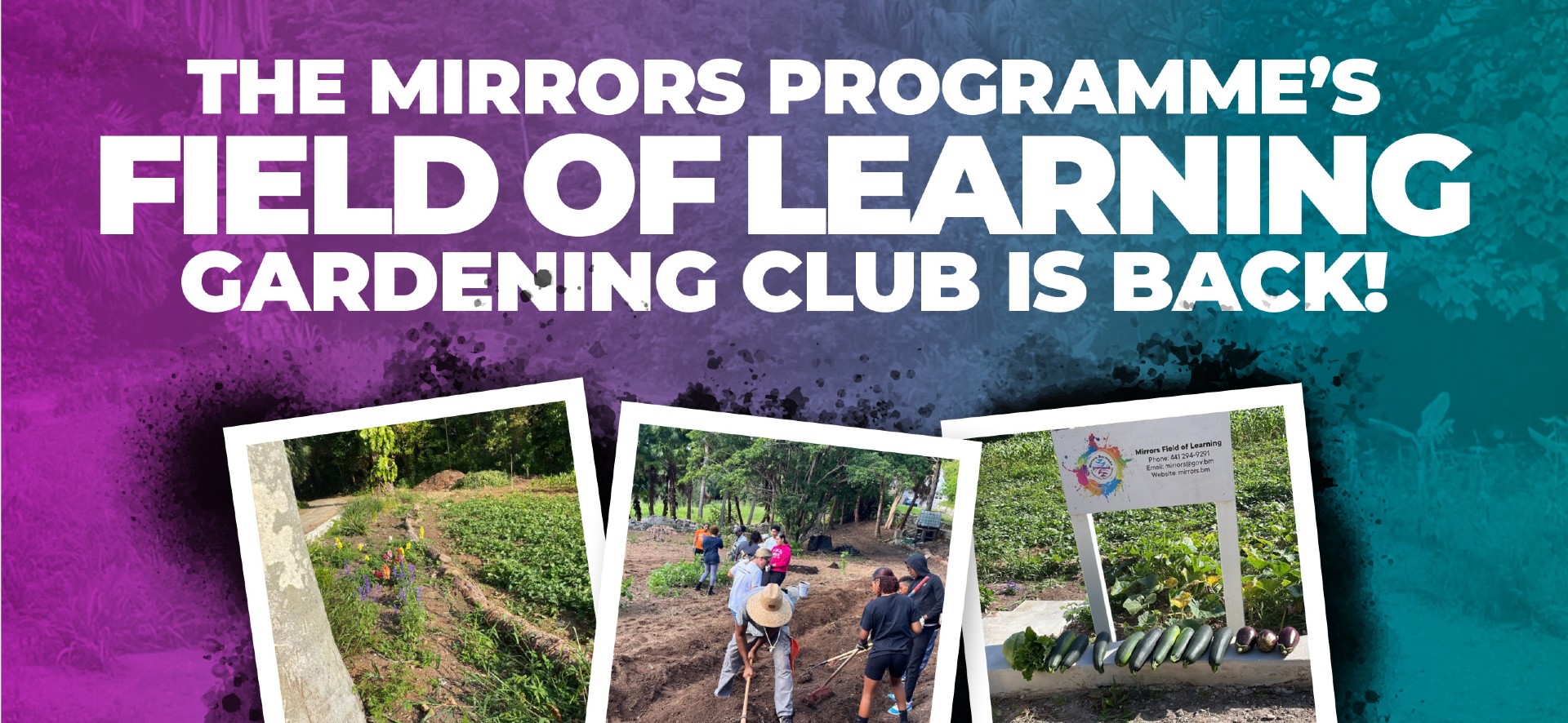 Mirrors Field of Learning Gardening Club