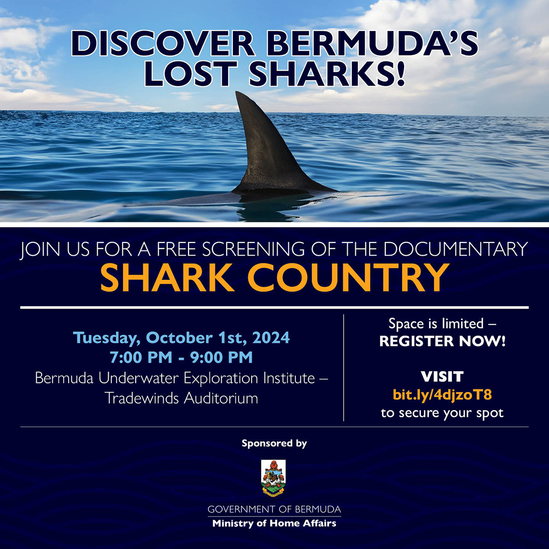 Shark Country Free Screening