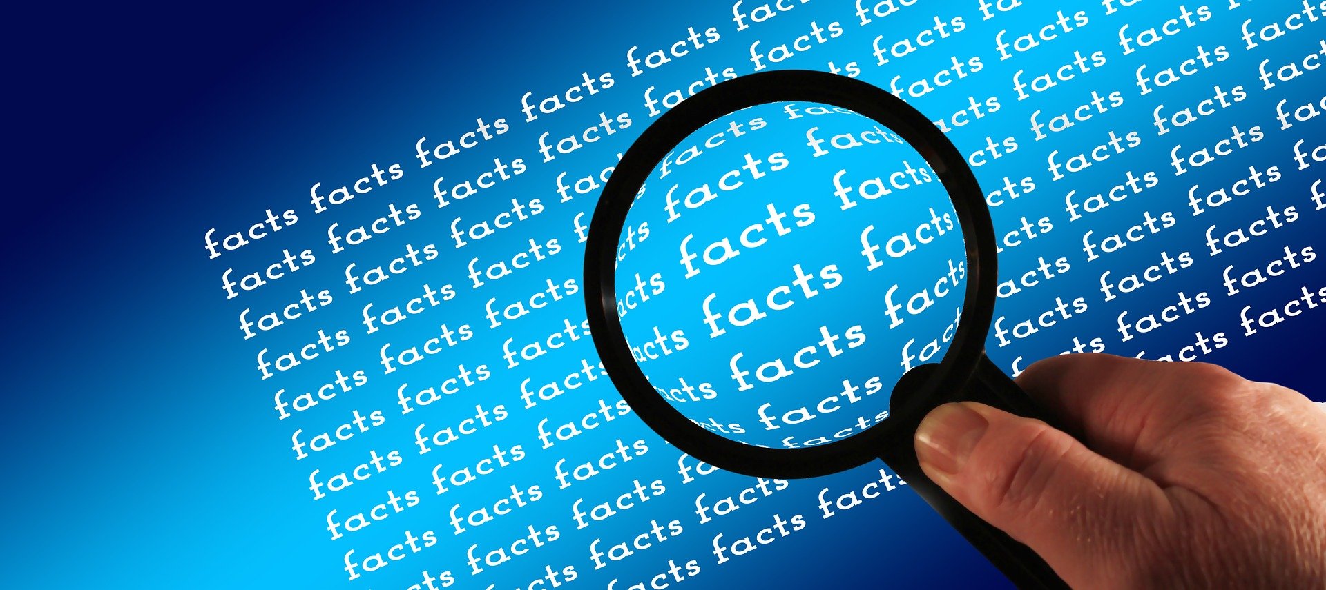 fact check