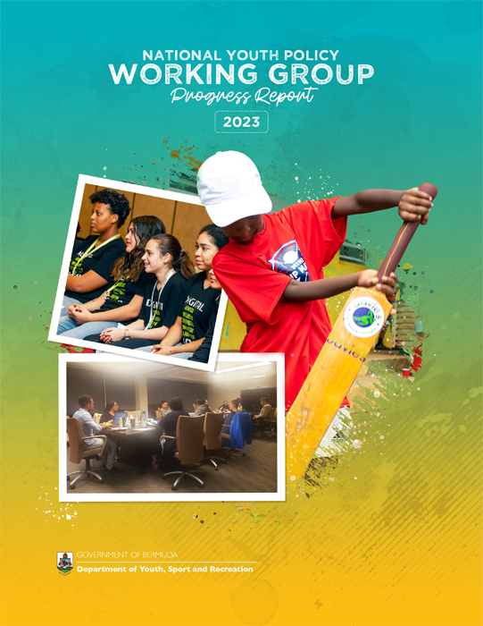 NYP Working Group image