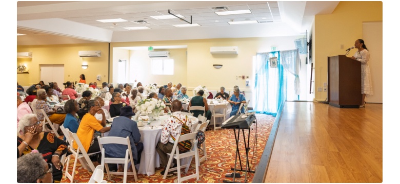Seniors Tea 