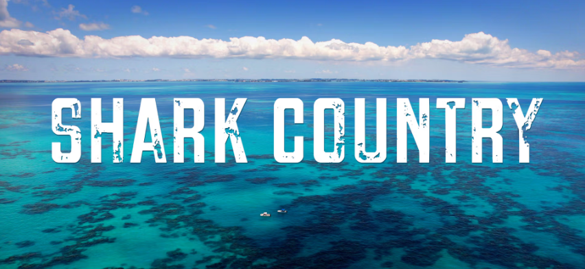 Shark Country 