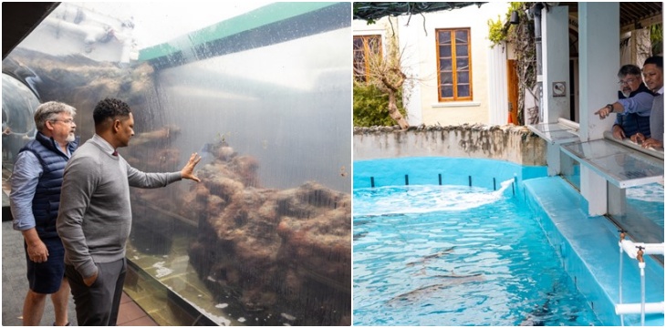 BAMZ Ongoing Tranformation