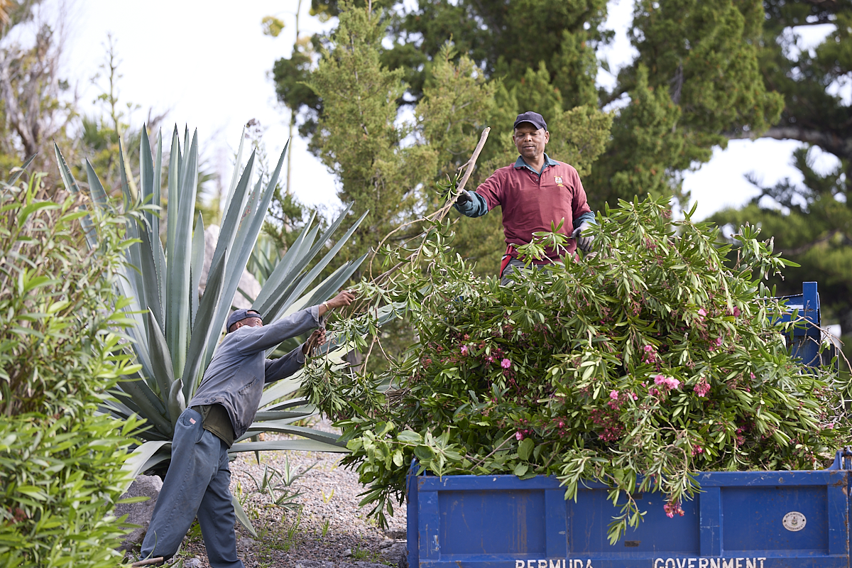 Department of Parks employees at the Botanical Gardens