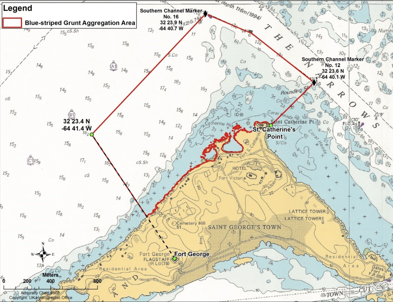 Fisheries Grunt Ground Closure 