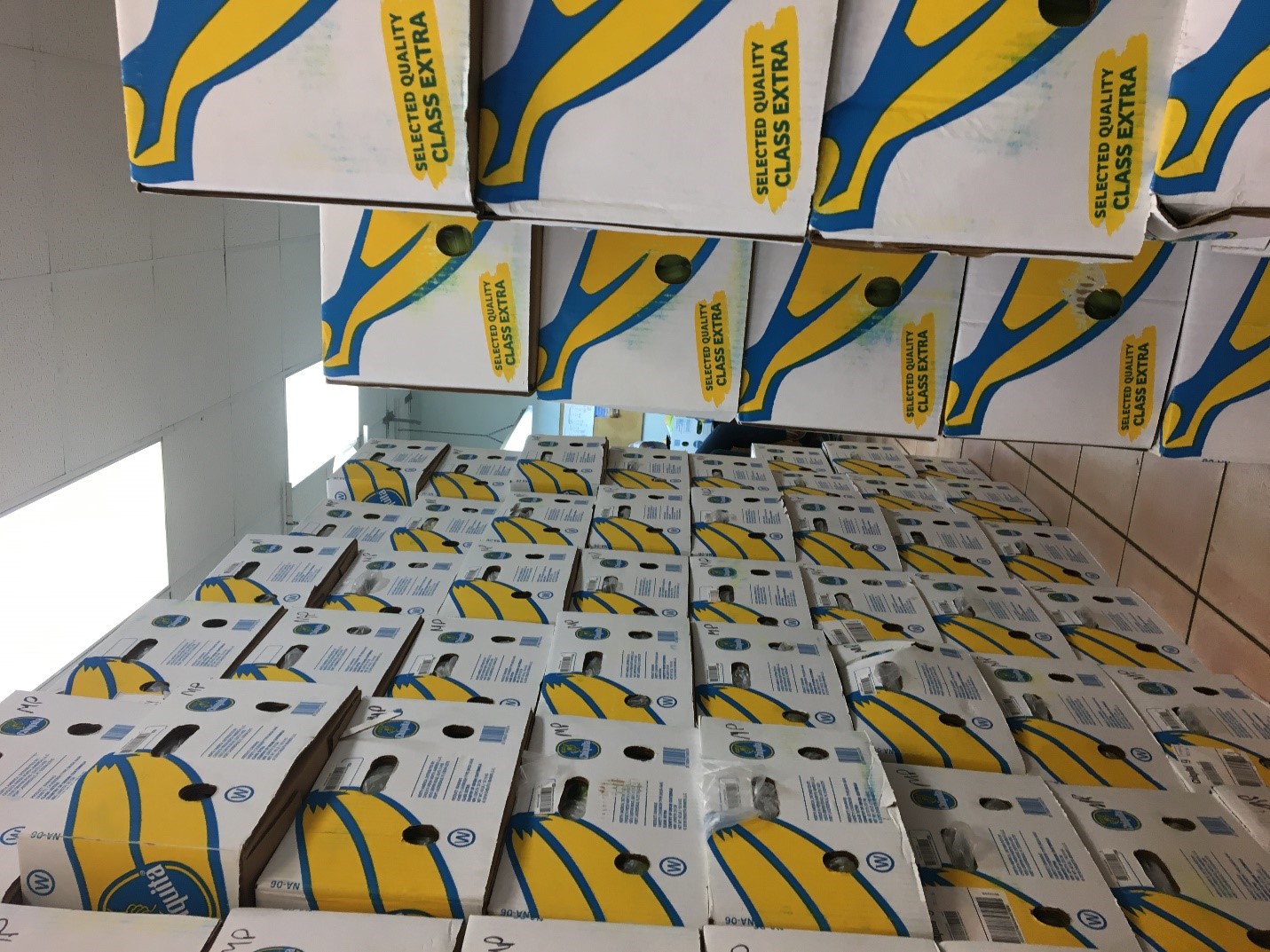 Figure 4: A sample of a typical banana shipment for inspection, 2019