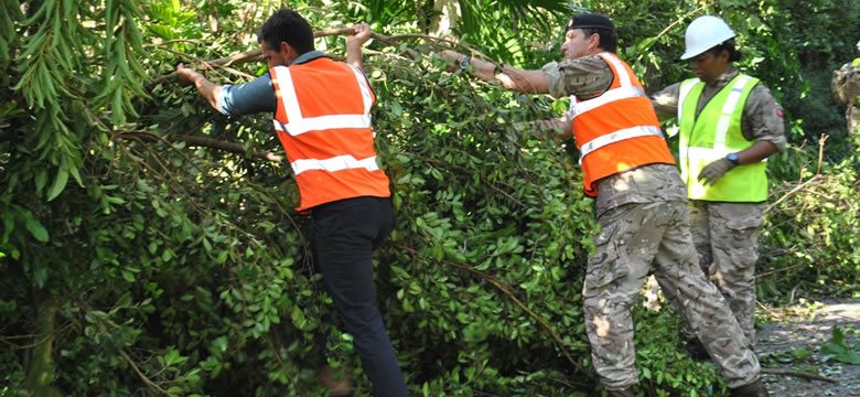 Minister Jeffrey Baron helping to clear trees after Hurricane Nicole Minister Jeffrey Baron helping to clear trees after Hurricane Nicole