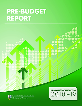 buget report
