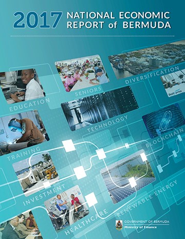 Economic gangsters book report 08 image