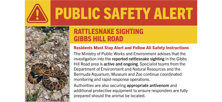 Public Safety Alert RattleSnake
