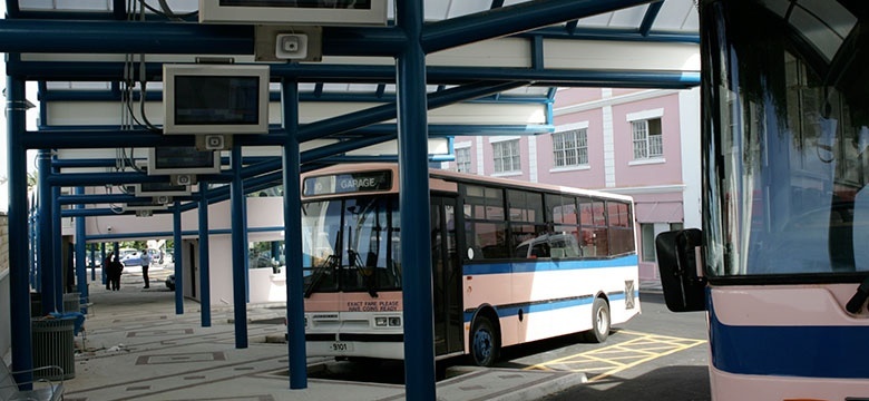 bus