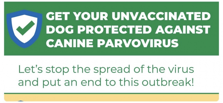 Dog Vaccination Drive Against Canine Parvovirus West End