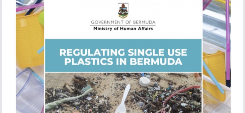 Examining bermuda tourism planning essay 05 image