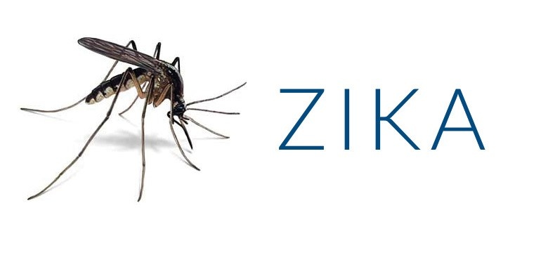 Zika