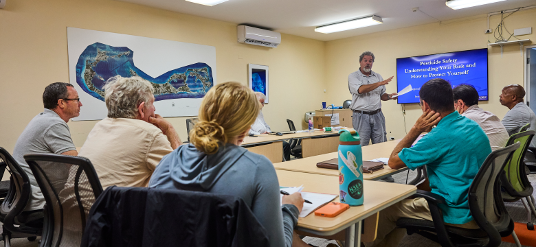 Training for Sedating Feral Chickens