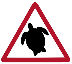Turtle Alert sign | Bermuda