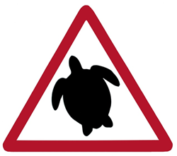 Turtle Alert sign Turtle Alert sign | Bermuda